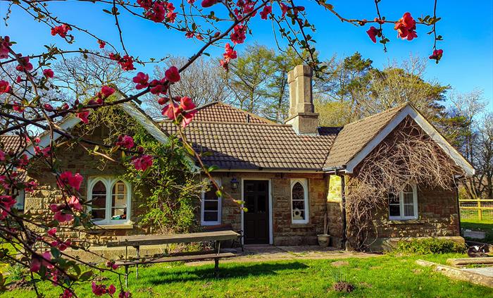 Two cottages are located in secluded Clyne Valley Country Park